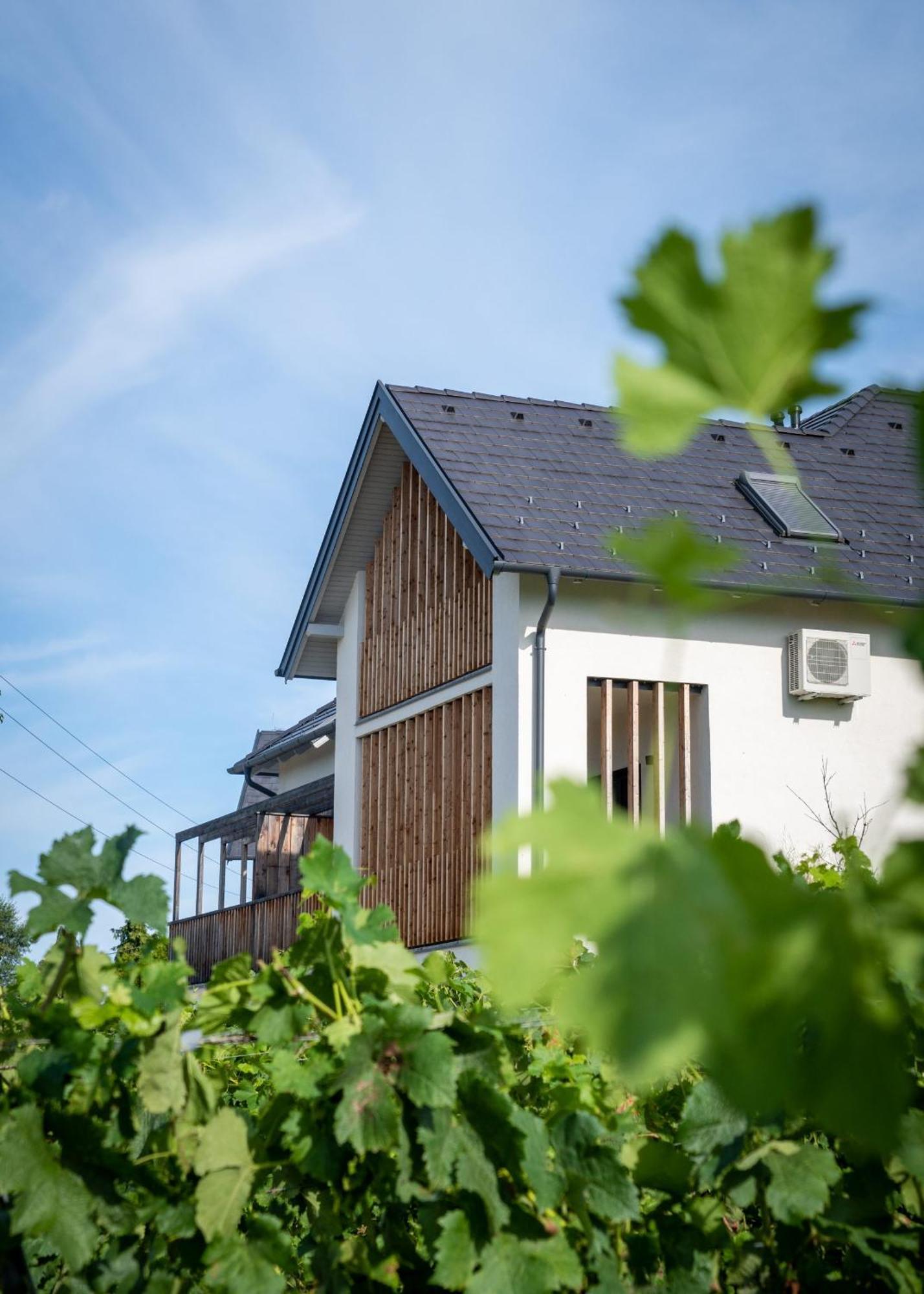 Domaine Edegger - Organic Winery Badacsony Aparthotel Badacsonytomaj Exterior photo